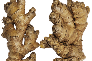 Ginger anti-nausea solution