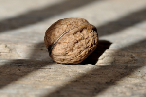 Daily walnut consumption