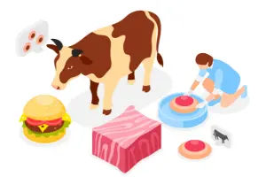 Carnivore diet fat adaptation