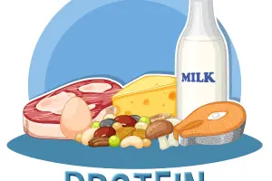 Protein intake eggs