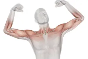 Build muscle faster workouts